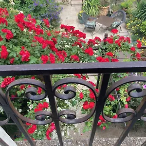 Bed & Breakfast La Maison Des Augustins 4 Stars Et Fitness